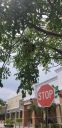 20190703_143606.jpg