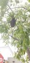 20190703_143614.jpg