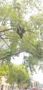20190703_143624.jpg