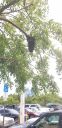 20190703_143656.jpg