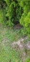 20190703_161004.jpg
