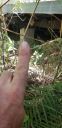 20190705_133341.jpg