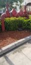 Filename=20190708_094225.jpg
Filesize=1660KiB
Dimensions=1960x4032
Date added=Jul 09, 2019 20190708_094225.jpg