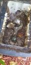 Filename=20190708_094852.jpg
Filesize=1506KiB
Dimensions=1960x4032
Date added=Jul 09, 2019 20190708_094852.jpg