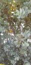 20190709_144631.jpg