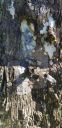 Filename=20191030_164655.jpg
Filesize=1801KiB
Dimensions=1960x4032
Date added=Nov 08, 2019 20191030_164655.jpg