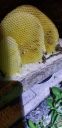 20191101_210211.jpg