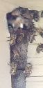 20191108_132542.jpg