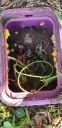 Filename=20191112_154051.jpg
Filesize=1507KiB
Dimensions=1960x4032
Date added=Nov 13, 2019 20191112_154051.jpg