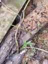 20200814_120602.jpg