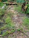 20200814_120849.jpg