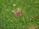 20200814_120903.jpg