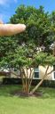 20200924_152742.jpg
