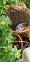 20200925_123515.jpg