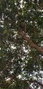 20200925_162702.jpg