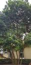 20200925_162739.jpg