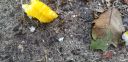 20201005_162509.jpg