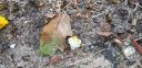 20201005_162511.jpg
