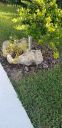 20201116_161521.jpg