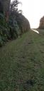 20201117_171327.jpg
