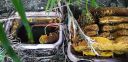 20201117_171524.jpg