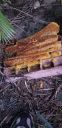 20201117_173735.jpg