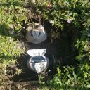 20201202_124343.jpg