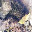 20201208_120041.jpg