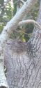 20210316_151936.jpg