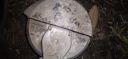 Filename=20210325_210333.jpg
Filesize=2062KiB
Dimensions=4160x1920
Date added=Mar 29, 2021 20210325_210333.jpg