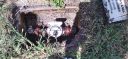 20210519_114705.jpg