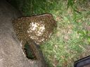Photo_Aug_292C_8_08_06_PM.jpg