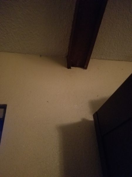 20210608_202714.jpg