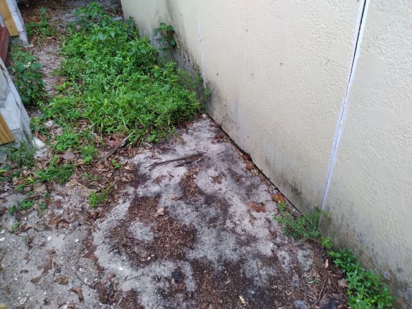 20210624_093445.jpg