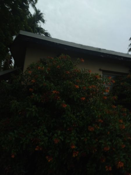 20210628_192046.jpg