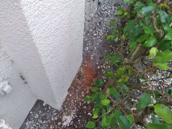20210630_103428.jpg