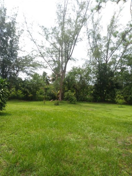 20210630_123731.jpg