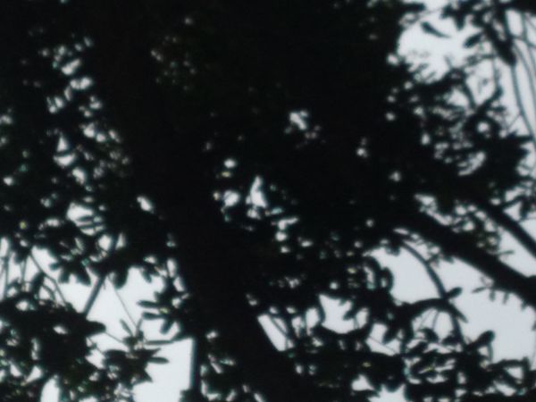20210718_152140.jpg
