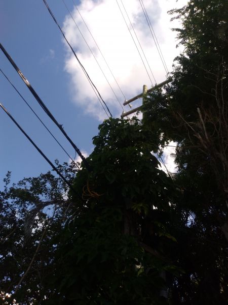 20211213_114649.jpg