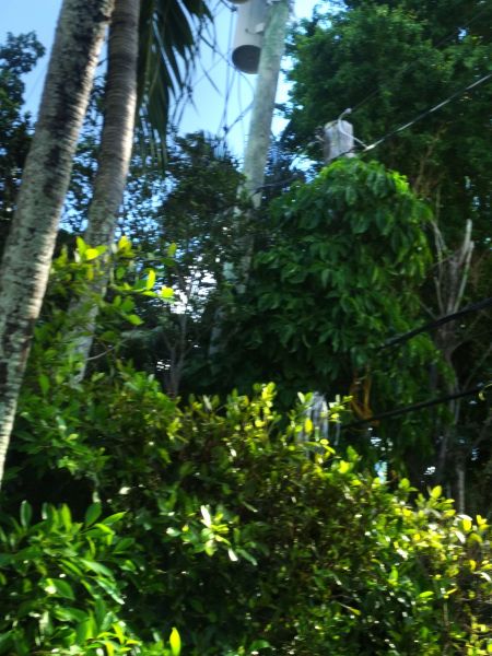 20211213_115046.jpg
