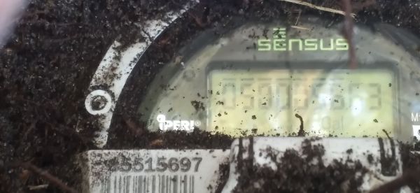20220317_150111.jpg