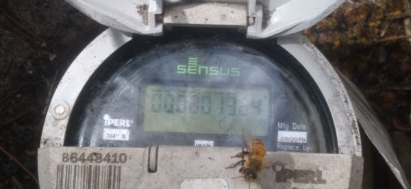 20220322_122726.jpg