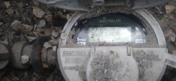 20220325_133503.jpg