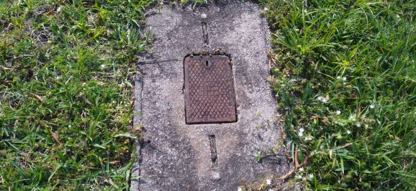 20220325_164410.jpg