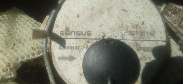 20220326_141731.jpg