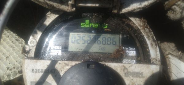 20220326_141742.jpg