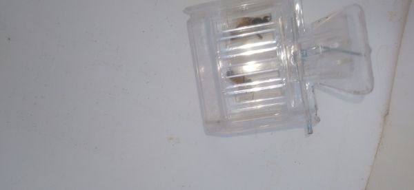 20220326_154948.jpg