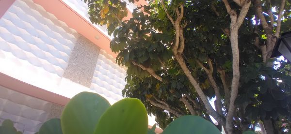 20220329_111343.jpg