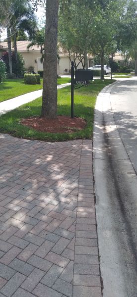 20220331_121610.jpg