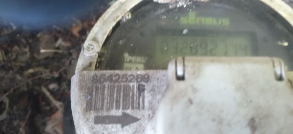 20220405_152152.jpg